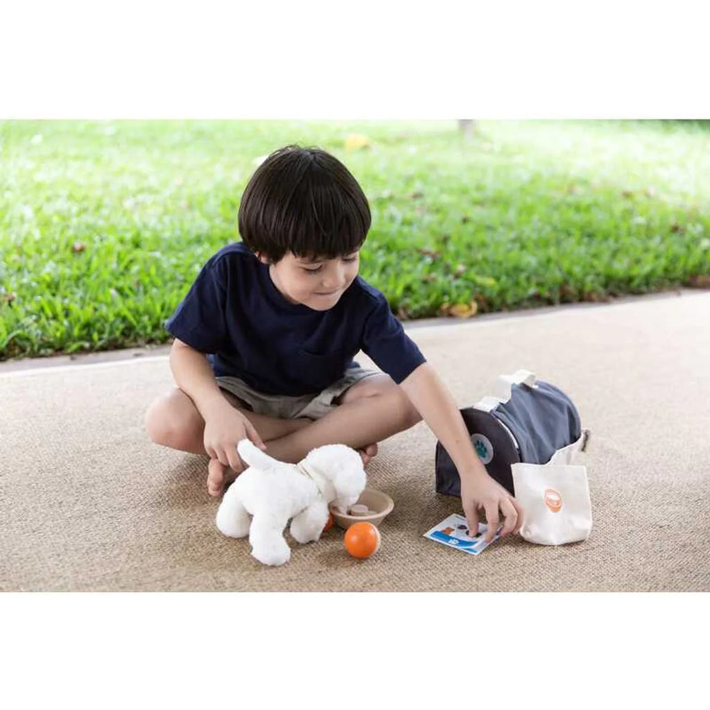 PlanToys Set För Husdjur +3år