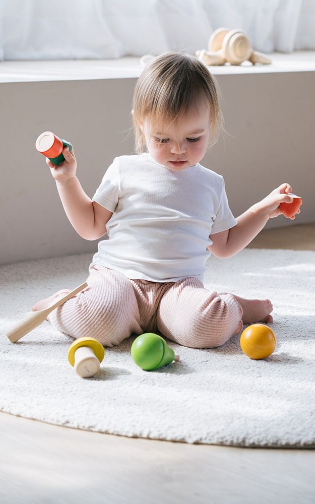 PlanToys Frukt & Grönt